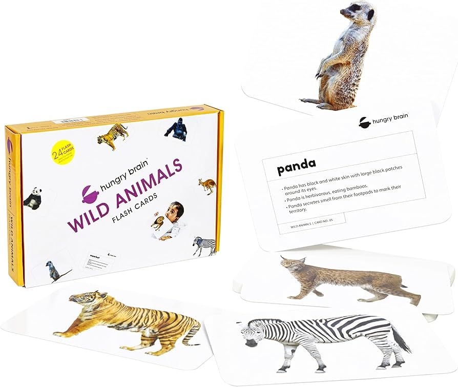 hungry brain Wild Animals Flash Cards for Babies and Infants for Early Learning & Stimulation Fla... | Amazon (US)