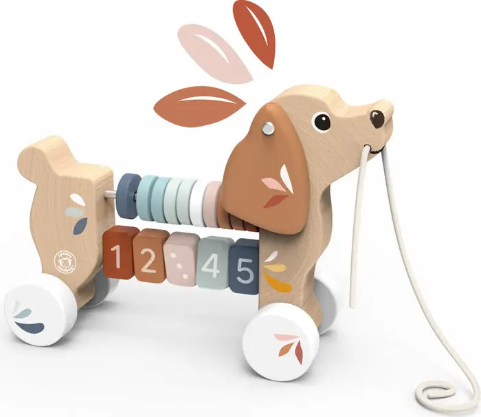 Puppy Pull along | Nordstrom