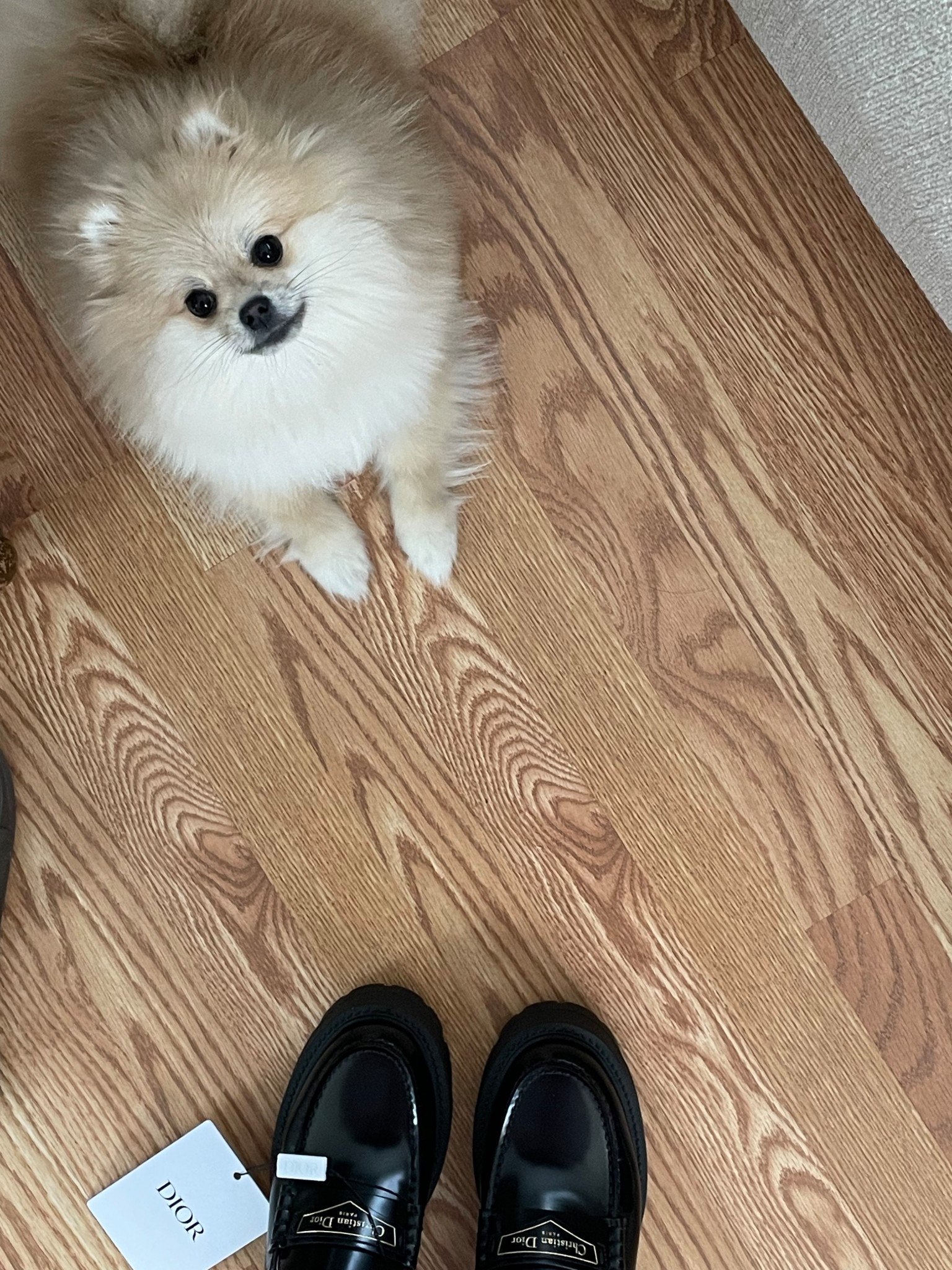 These Dior loafers are Lilibet approved. 

#christiandior #dior #designershoes #fallfashion #classicstyle #fallshoes 

Similar vibes linked...for my actually shoes —- go to the official Christian Dior website. Xo


#LTKfall #LTKshoes #LTKworkwear