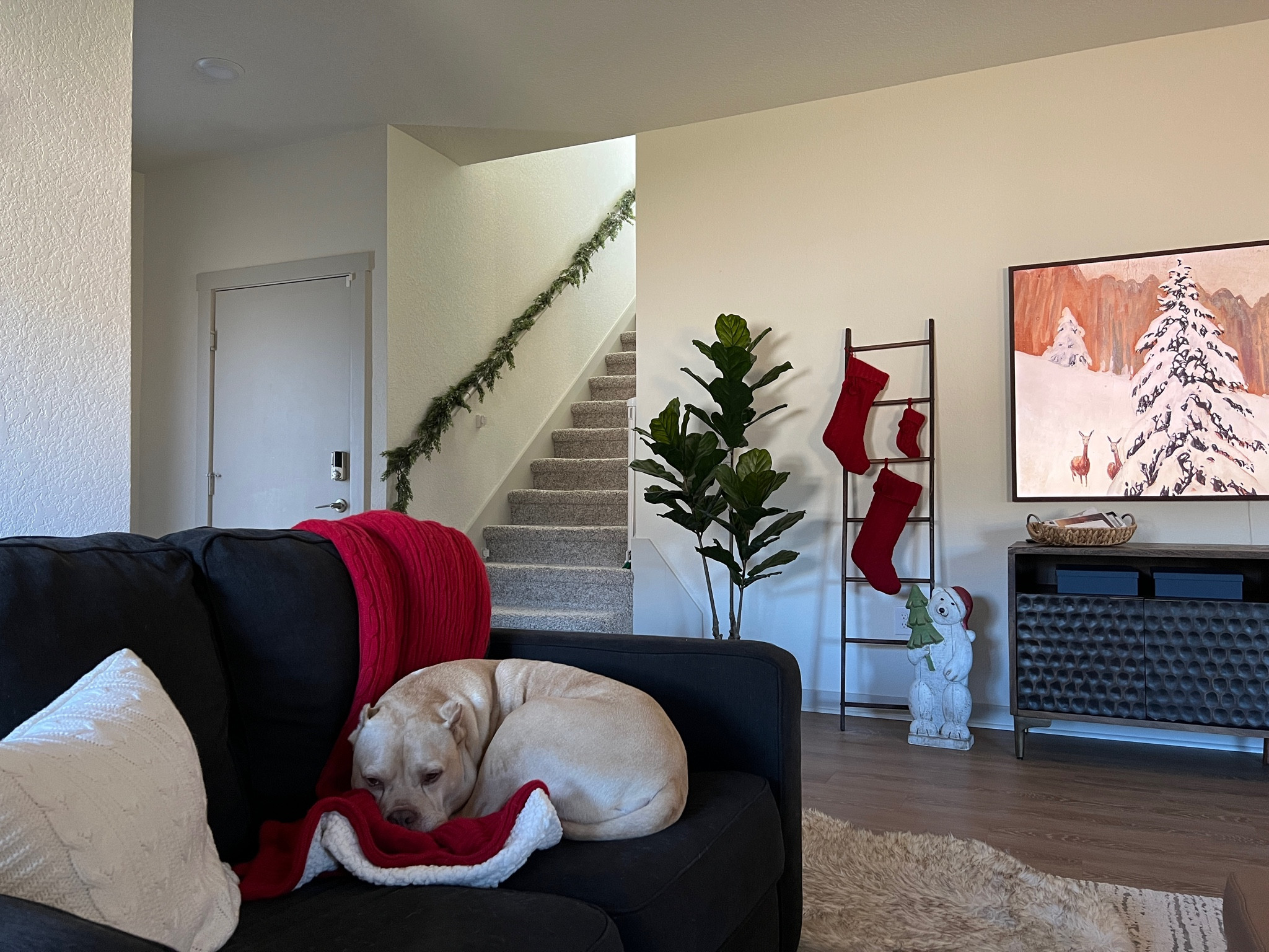 Slowly but surely decorating for Christmas! Check out my easy DIY stocking ladder reel to make your own @carolinebuiltit

#LTKHoliday #LTKhome #LTKSeasonal