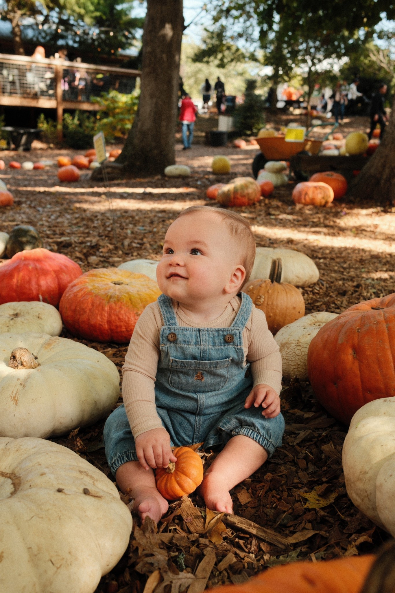 Perfect fall outfit for a baby 🍂🧡

#LTKHalloween #LTKBaby #LTKSeasonal