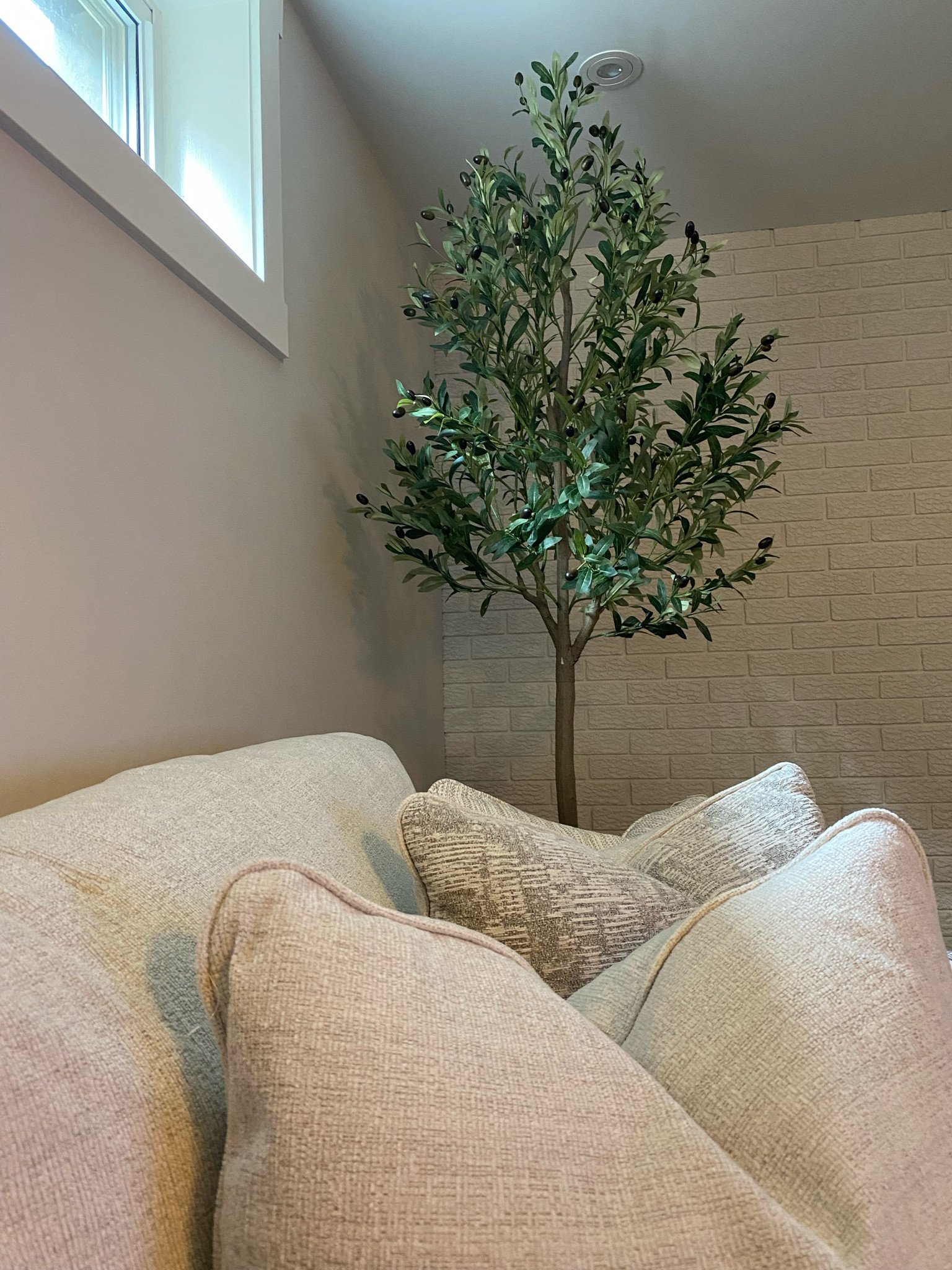 My favourite olive tree find!

Olive tree. Amazon home, faux tree, faux plants, tree, living room decor, planter, faux trees, crate and barrel, pottery barn, west elm, target, cb2, wayfair, walmart 

#LTKstyletip #LTKhome #LTKsalealert