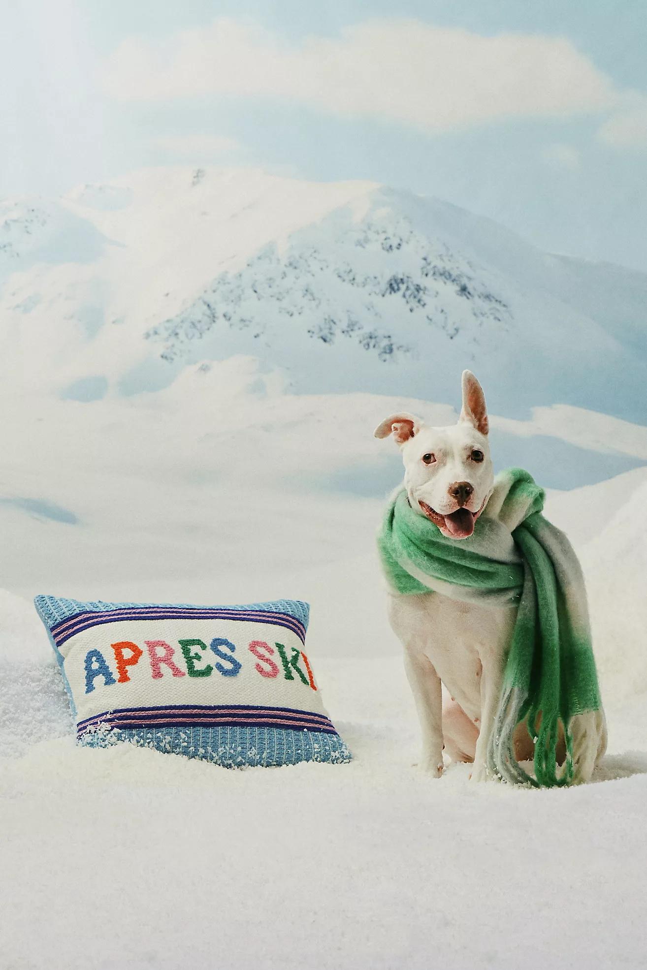 Alden Embroidered Cotton Pillow | Anthropologie (US)