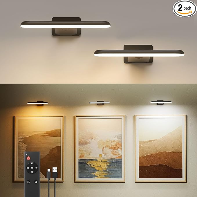 FULEN 2 Pack Picture Lights for Wall,Art Lights for Painting,Battery Operated Wall Sconce Recharg... | Amazon (US)