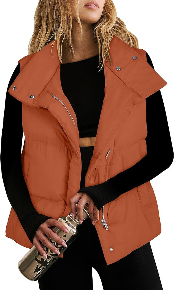 ANRABESS Women Puffer Vest Sleeveless Zip Up Stand Collar Quilted Lightweight Jacket Winter Warm ... | Amazon (US)