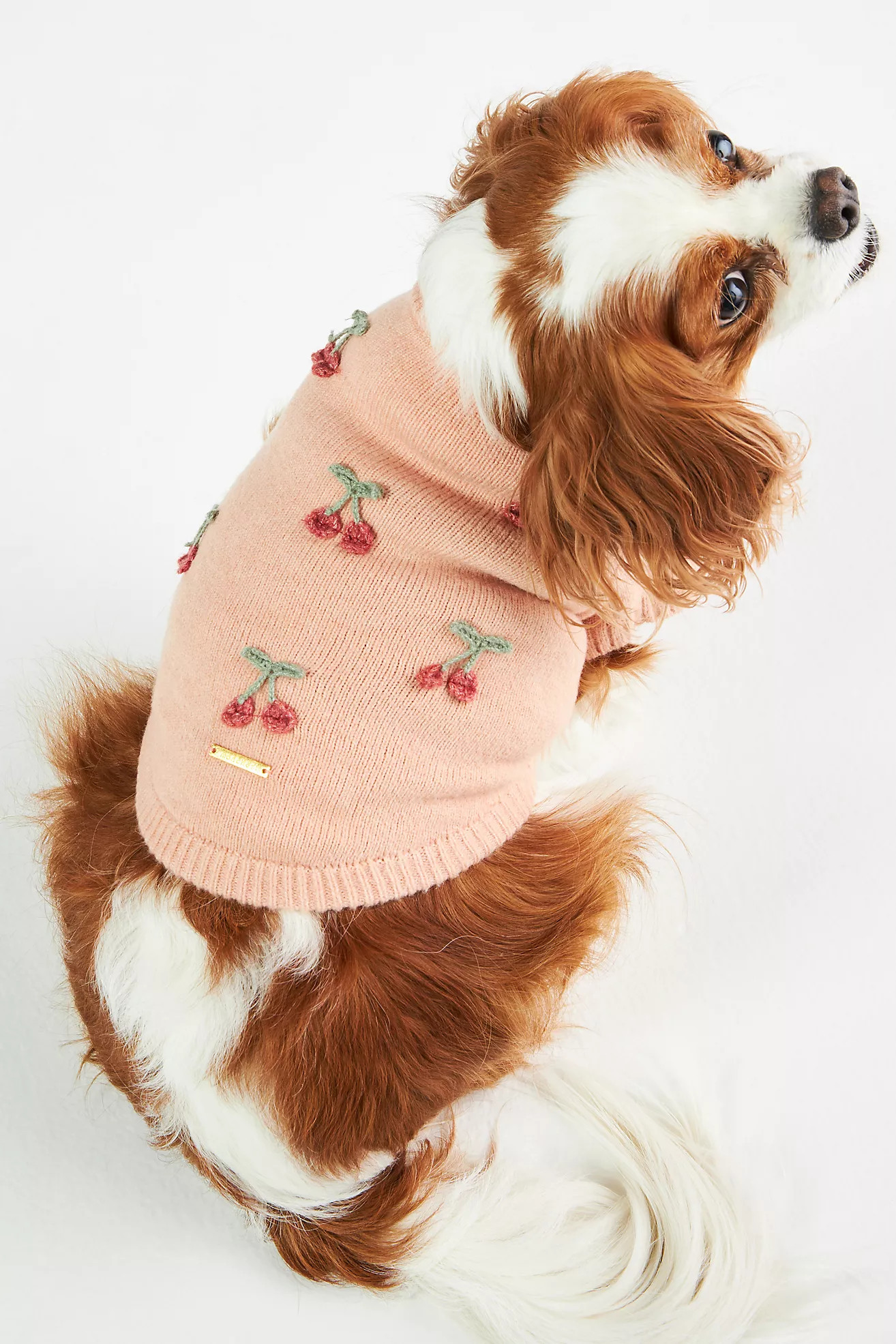 monchéri Cherry Motif Dog Sweater | Anthropologie (US)