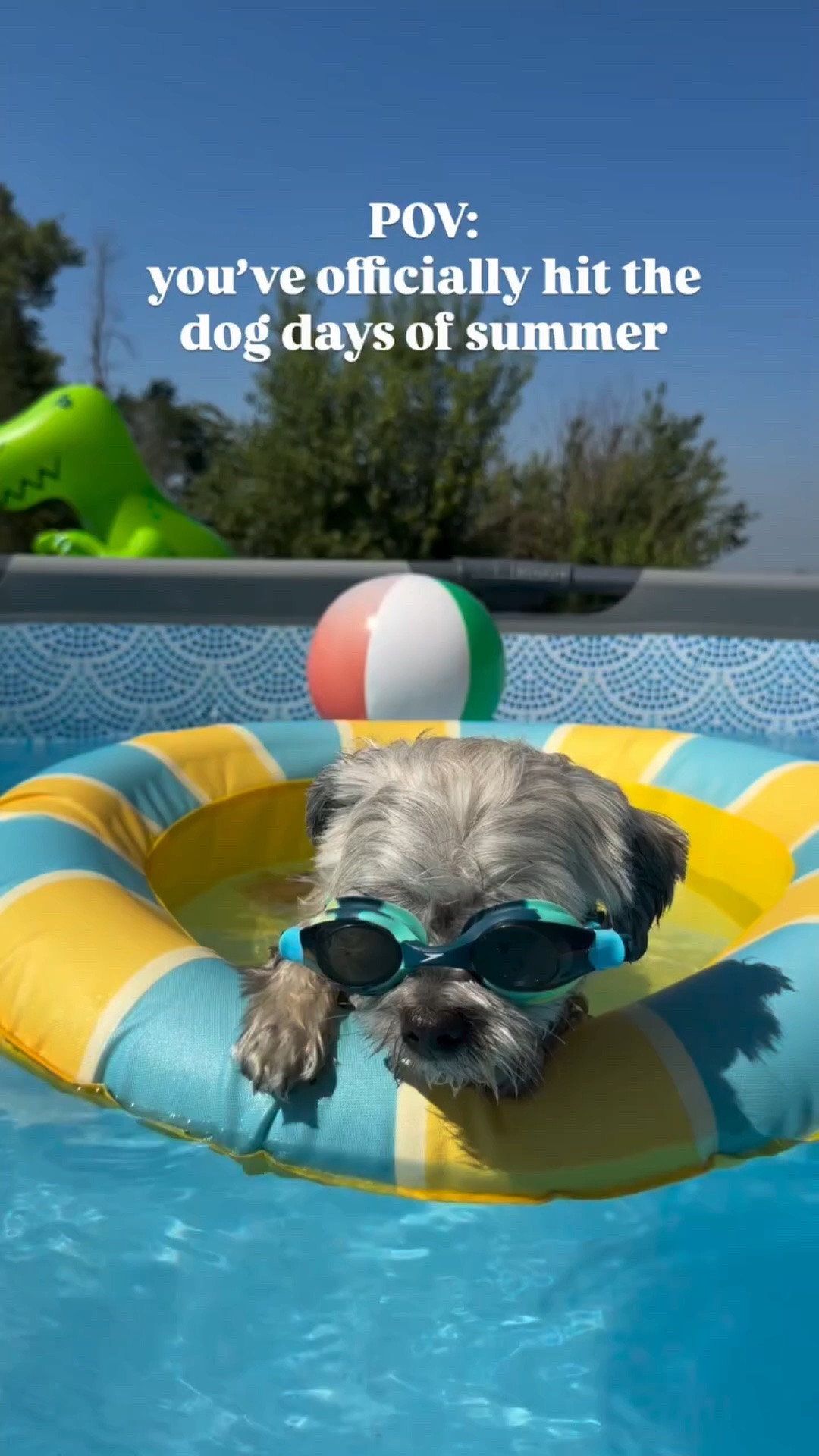Baxter is just living his best life in this heat wave!!! Comment DOG for links to his pool floatie!!!! 

#dogdaysofsummer #dogsofinstagram #summerfunonthefarm #farmhouseliving #pooldays

#LTKSeasonal #LTKSwim #LTKdayinmylife