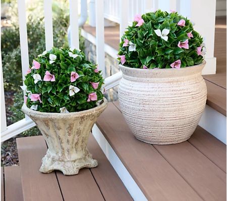 QVC sale spring outdoor flowers sphere

#LTKsalealert #LTKSpringSale #LTKSeasonal