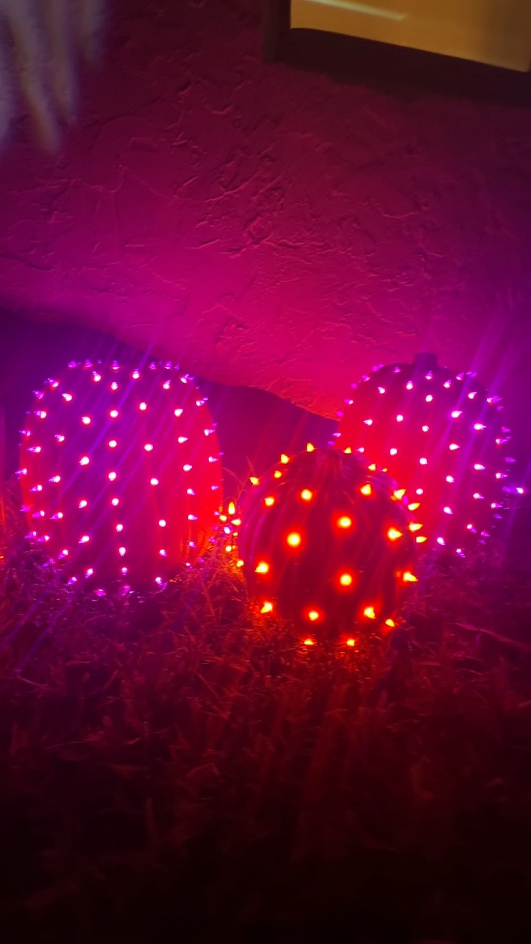 The easiest pumpkins you’ll ever “carve”! 

#LTKHome #LTKHalloween #LTKSeasonal