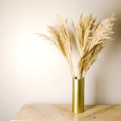 Real Dried Decor Plumes Pampas Grass Spray | Wayfair North America