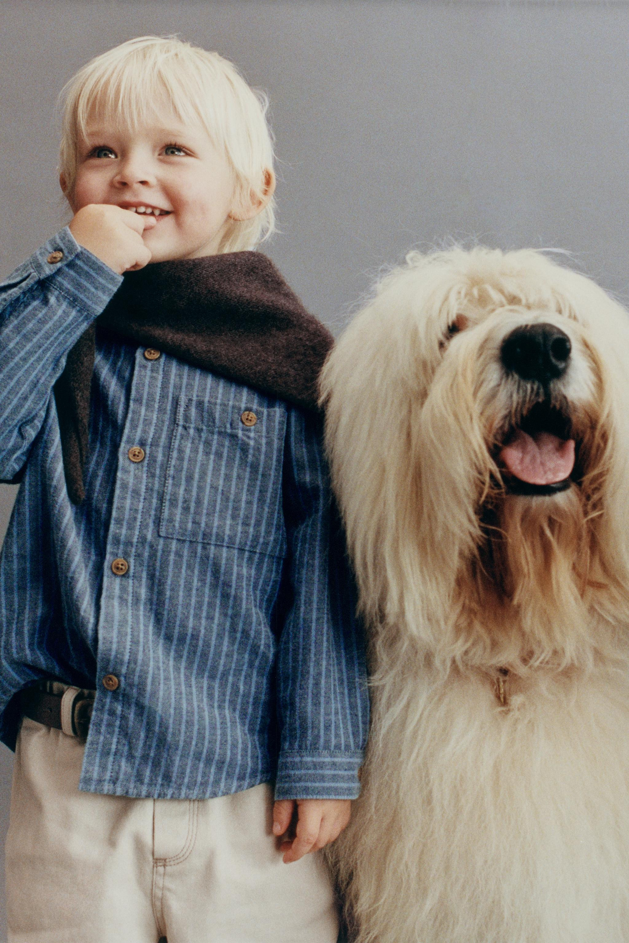 STRIPED MANDARIN COLLAR SHIRT | Zara US