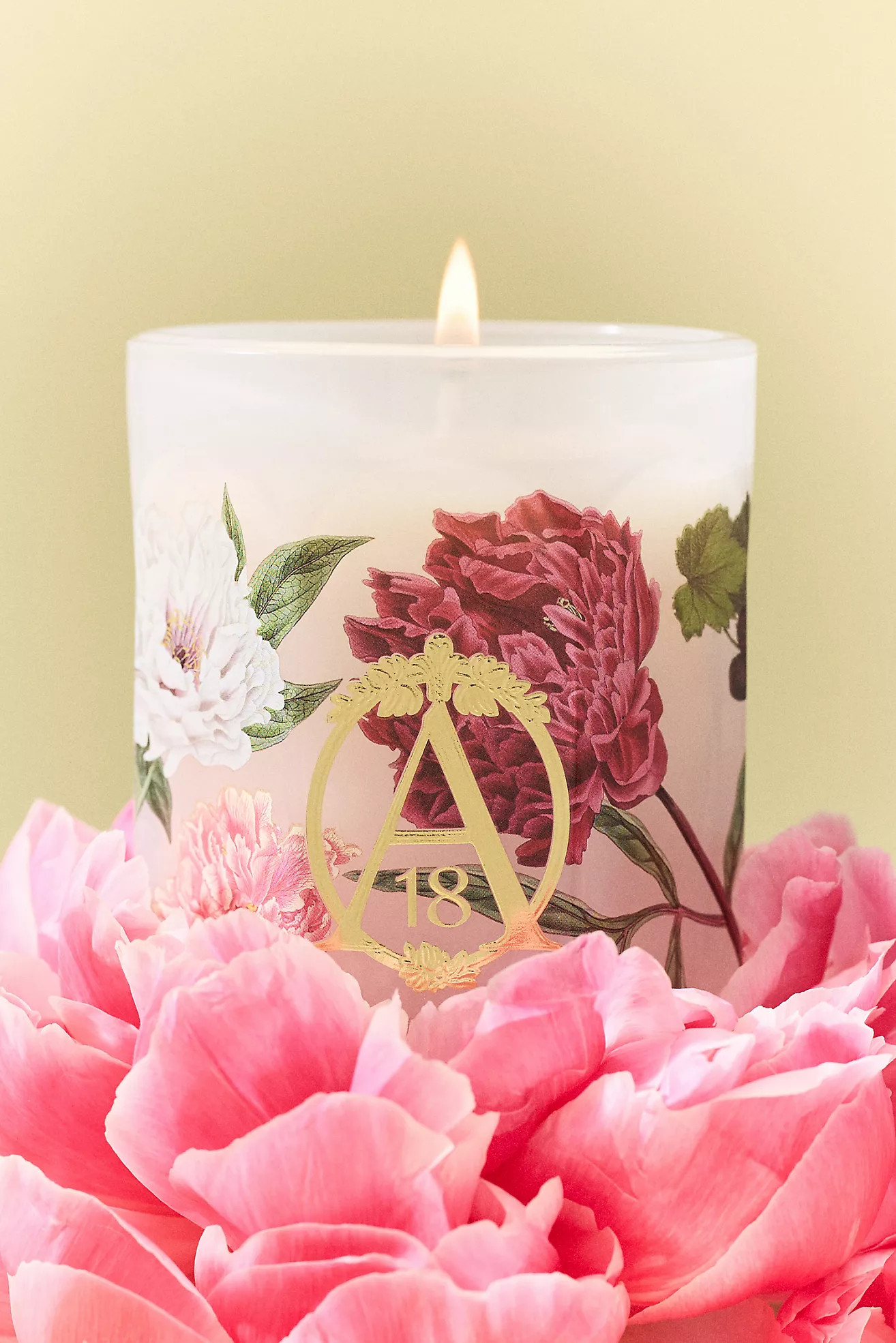 Apothecary 18 Floral Peony Blush Boxed Glass Candle | Anthropologie (US)