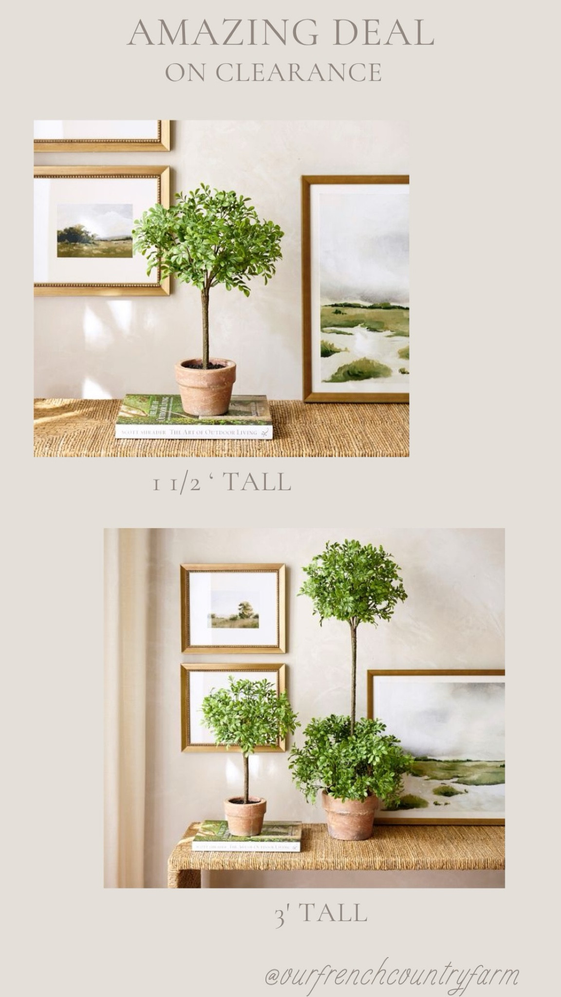 The small topiary was sold out forever!  I have both sizes!  Use code EXTRA for an additional 15% off clearance prices!

#LTKhome #LTKsalealert #LTKSeasonal