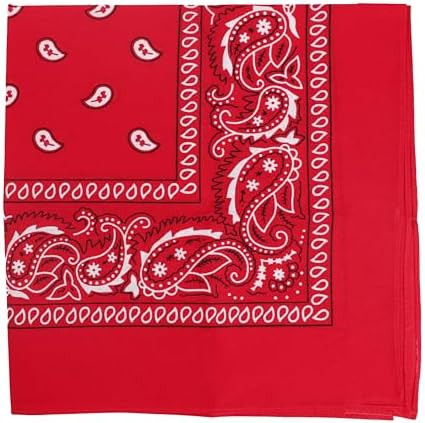Motique Accessories 22 Inch Cotton Paisley Bandana | Amazon (US)