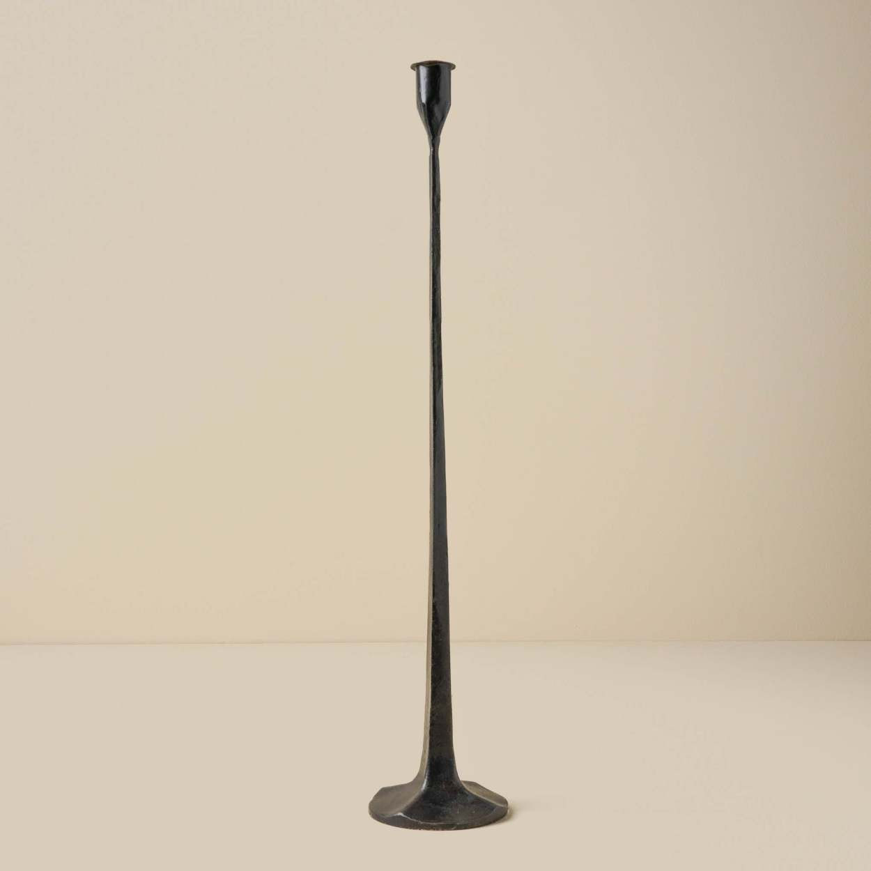 Black Gatecrest | Magnolia