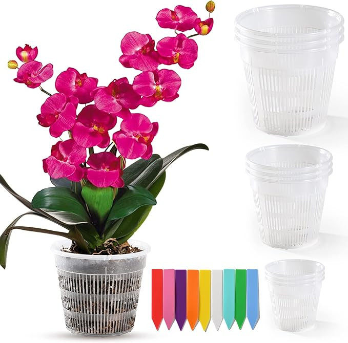 CARE HOME Clear Orchid Pot with Holes - 9 Pack Breathable Slotted Orchid Pots for Repotting-3 Siz... | Amazon (US)