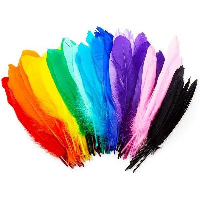 Bright Creations 150 Pieces Goose Feathers for Crafts, Costumes, Decorations, 12 Colors (6-8 in) | Target