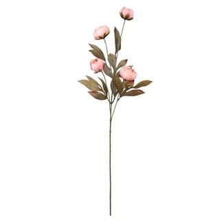Coral Multi Dry Peony Stem by Ashland® | Michaels Stores