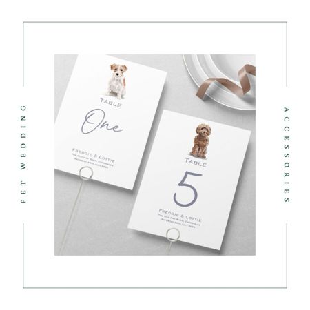 How to Include Your Pet in Your Wedding - As any animal lover will tell you, our pets are hugely important parts of our lives — so why not find cute ways to include them in your special day!? Here are some of the cutest ways to include your pets in your wedding, featuring adorable customizable cocktail cups and napkins, coasters, place settings, and more wedding decor from Etsy, Amazon, Zazzle, The Knot, and more. 



#LTKwedding #LTKfamily #LTKparties