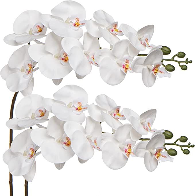 Orchid White 31.5" Real Touch Signal Stem Phalaenopsis Orchid Spray with 9 Large Flowers for Home... | Amazon (US)