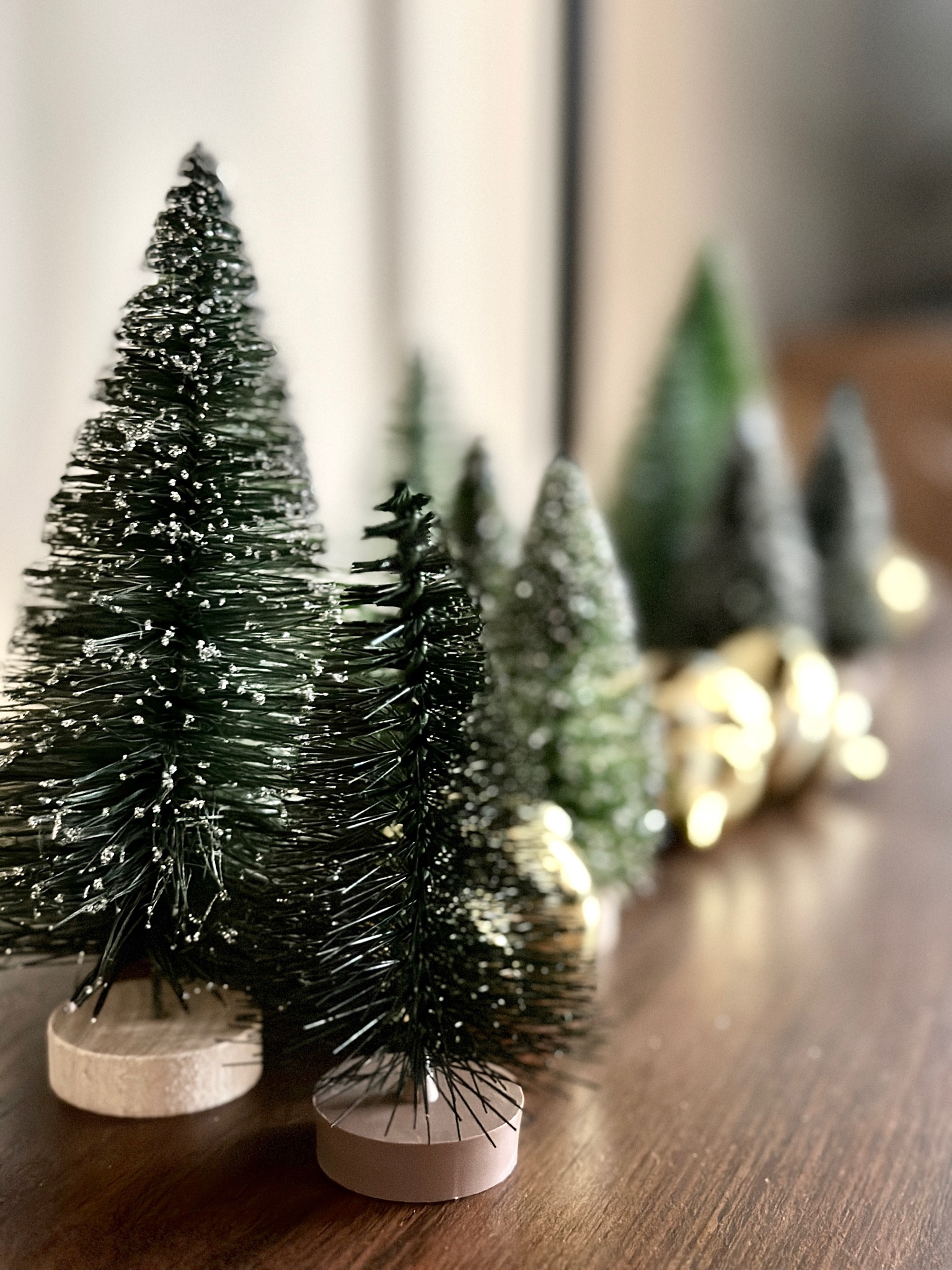 Bottle Brush trees are the perfect holiday decor piece to fill an empty shelf for the Christmas season. 

These vintage inspired brush trees are affordable and come in various heights. 

Vintage Christmas // Christmas tree //
Christmas village // Christmas decor // target holiday 

#LTKHoliday #LTKfindsunder50 #LTKhome