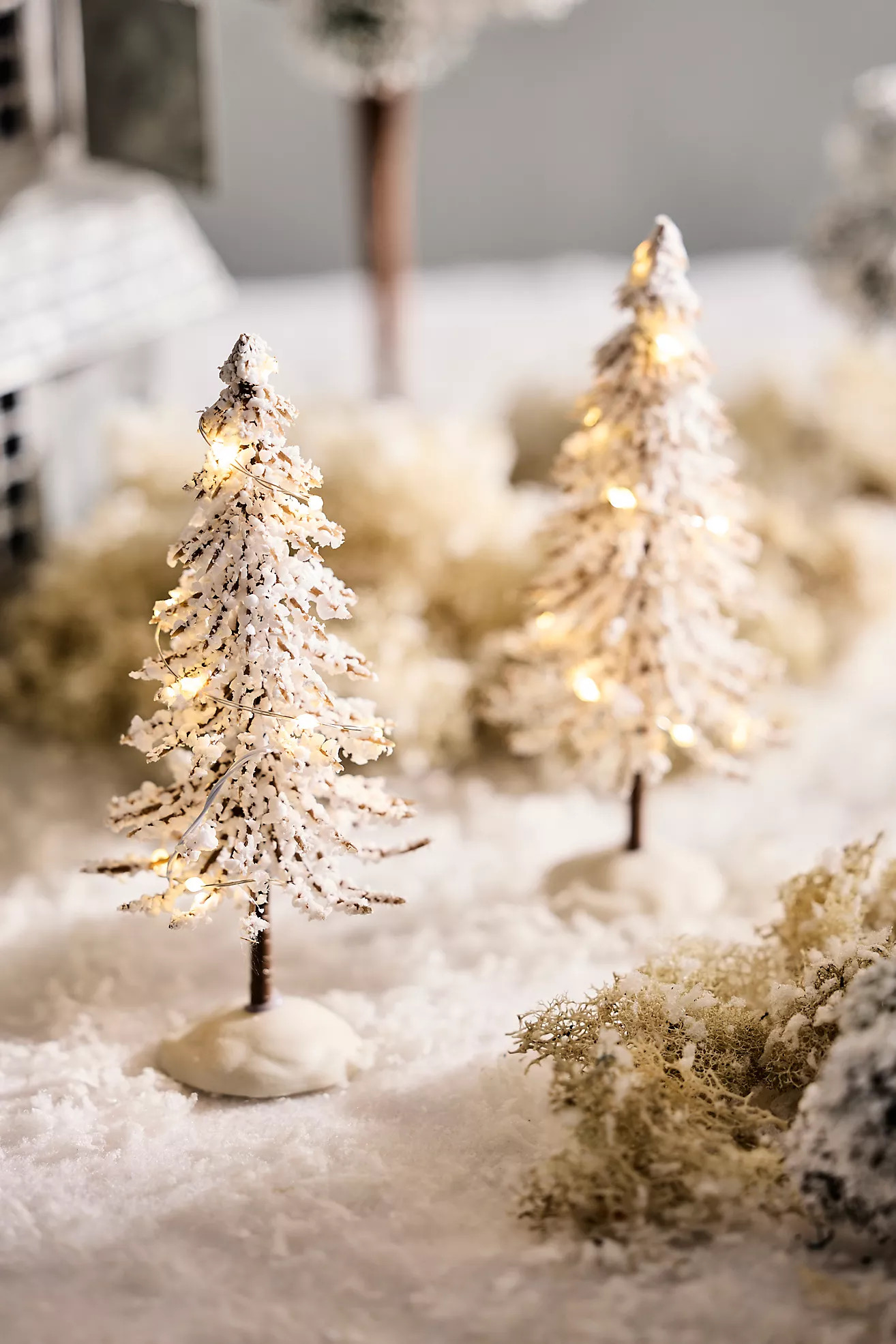 Illuminated Snowy Brush Trees, Set of 2 | Anthropologie (US)