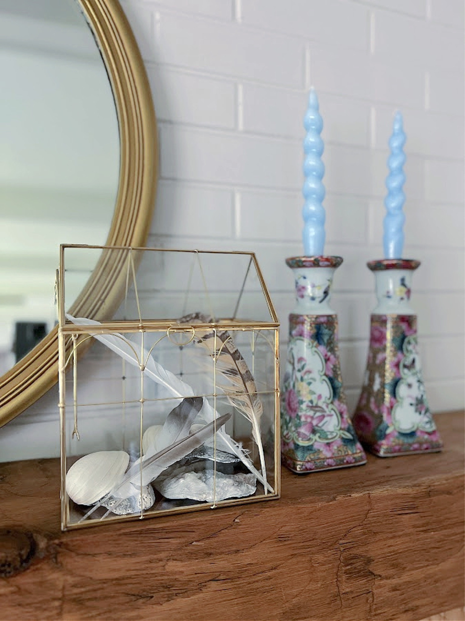 I am totally in love with this coastal terrarium! It creates such a fresh and breezy atmosphere - perfect for summer! 🐚

#LTKunder50 #LTKFind #LTKhome
