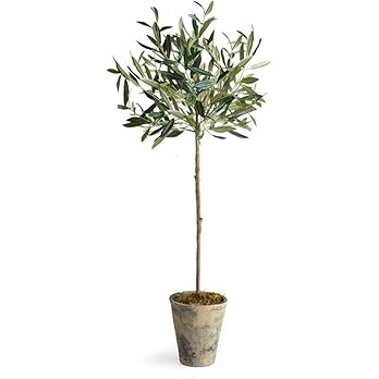 Napa Home & Garden Olive Tree Potted 30" Green | Amazon (US)