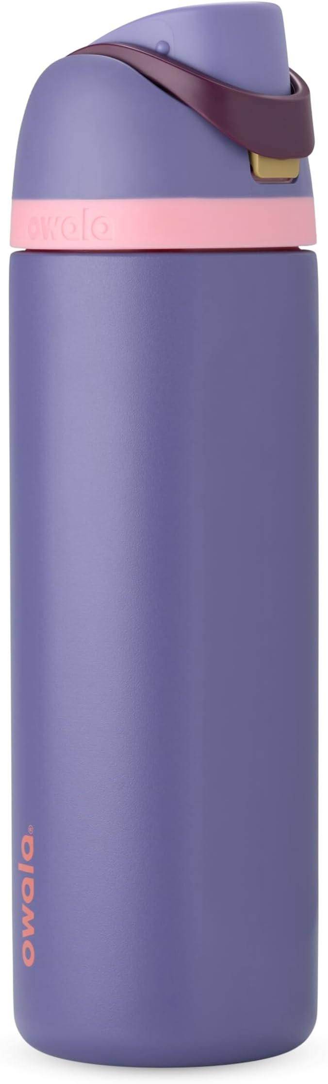 Owala FreeSip Stainless Steel Water Bottle 24 oz Blue (Blue Jay) | Amazon (US)