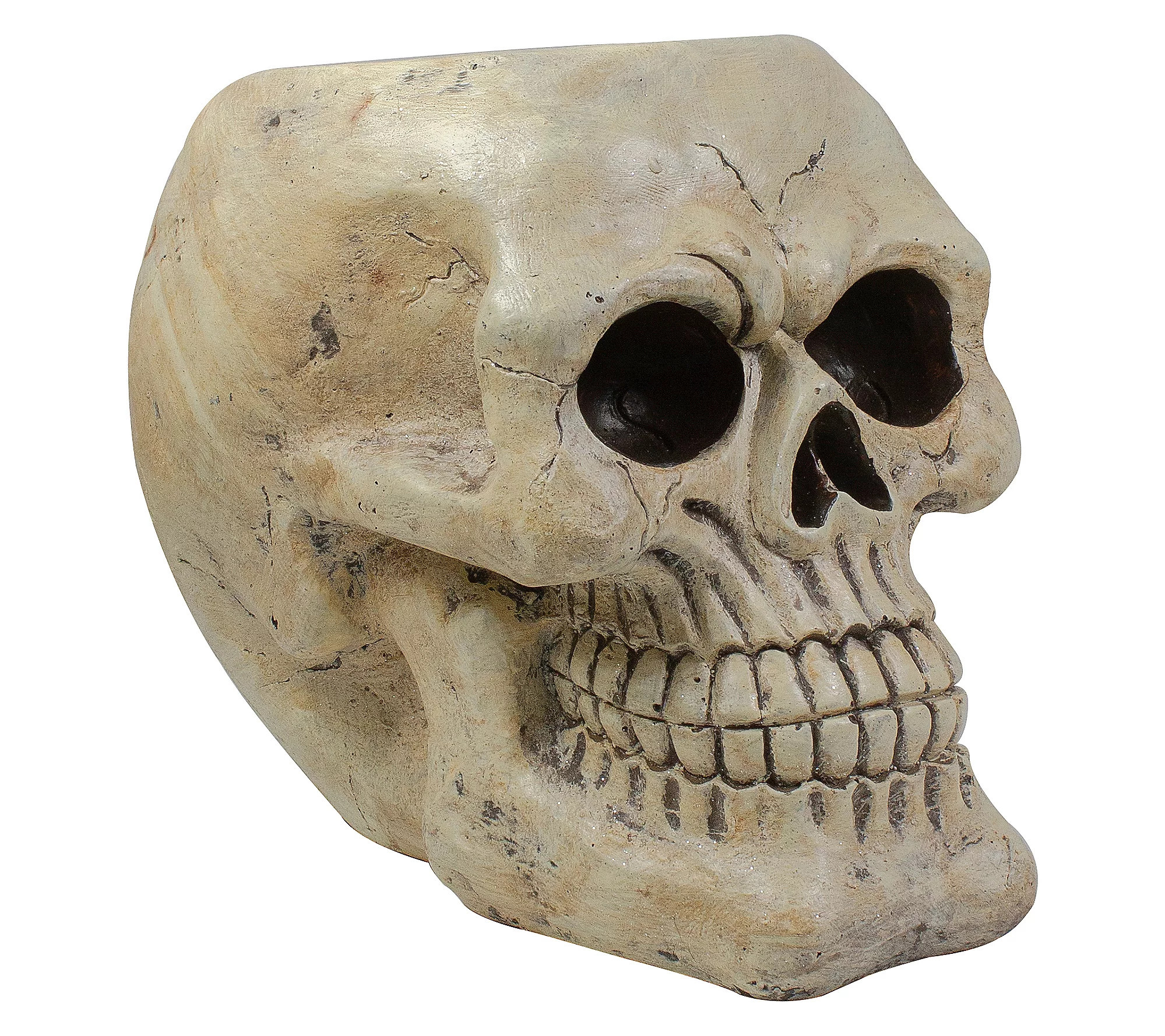 Northlight Halloween Skull Decoration 11 | QVC