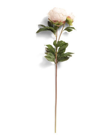 26in Real Touch Blush Peony Stem | TJ Maxx