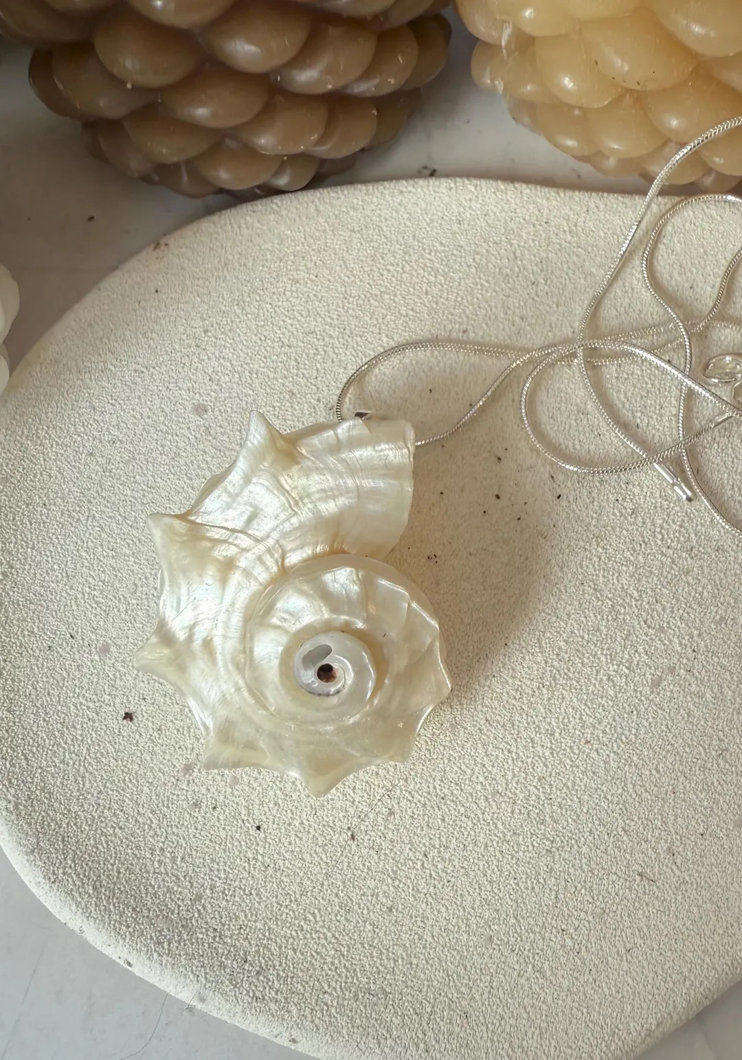 Natural Conch Shell Pendant Silver Necklace (2) - Etsy | Etsy (US)