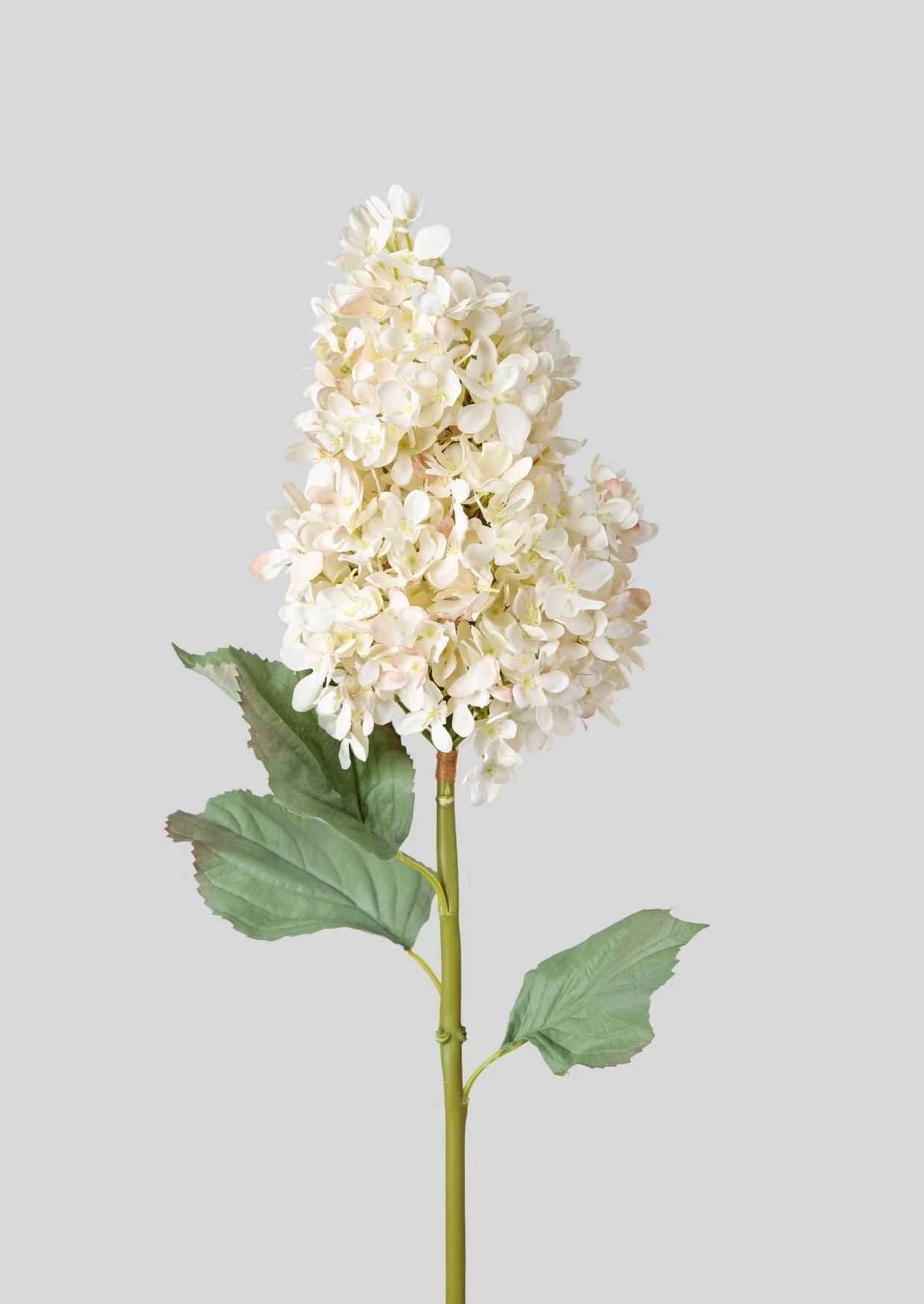 Large Faux Dried Look Cone Hydrangea in Parchment - 35" Tall x 10" Blo | Afloral