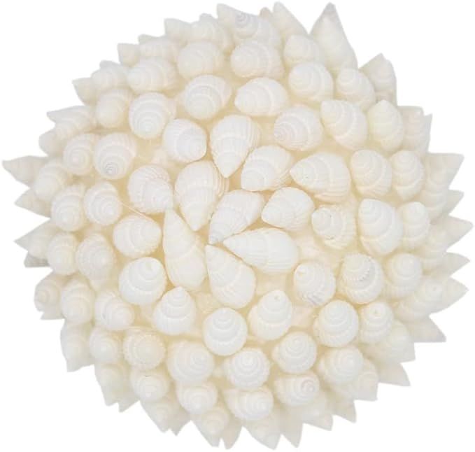 Approx 4inch White Sea Shells Balls Nautical Home Decor | Amazon (US)