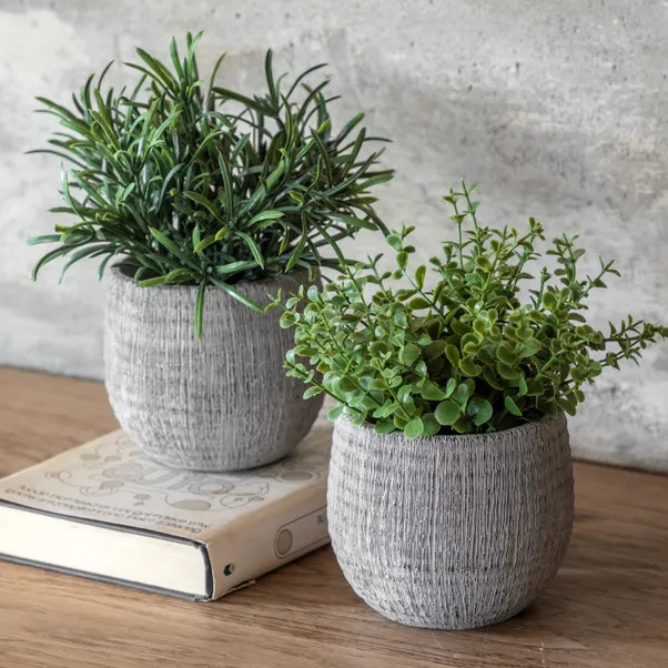 Set of 2 Articial Rosemary Plants in Ceramic Pots | Dunelm
