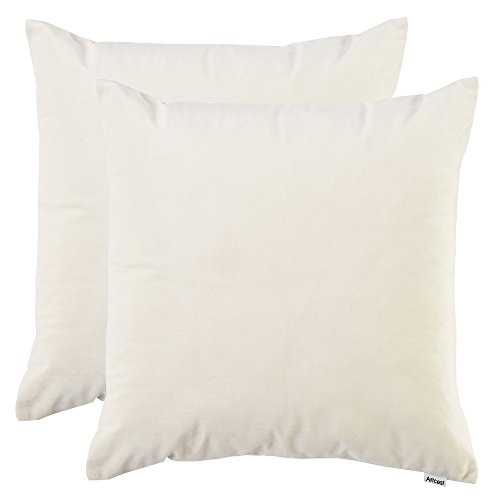 Artcest Set of 2, Cozy Solid Velvet Throw Pillow Case, Decorative Couch Cushion Cover, Soft Sofa Eur | Amazon (US)