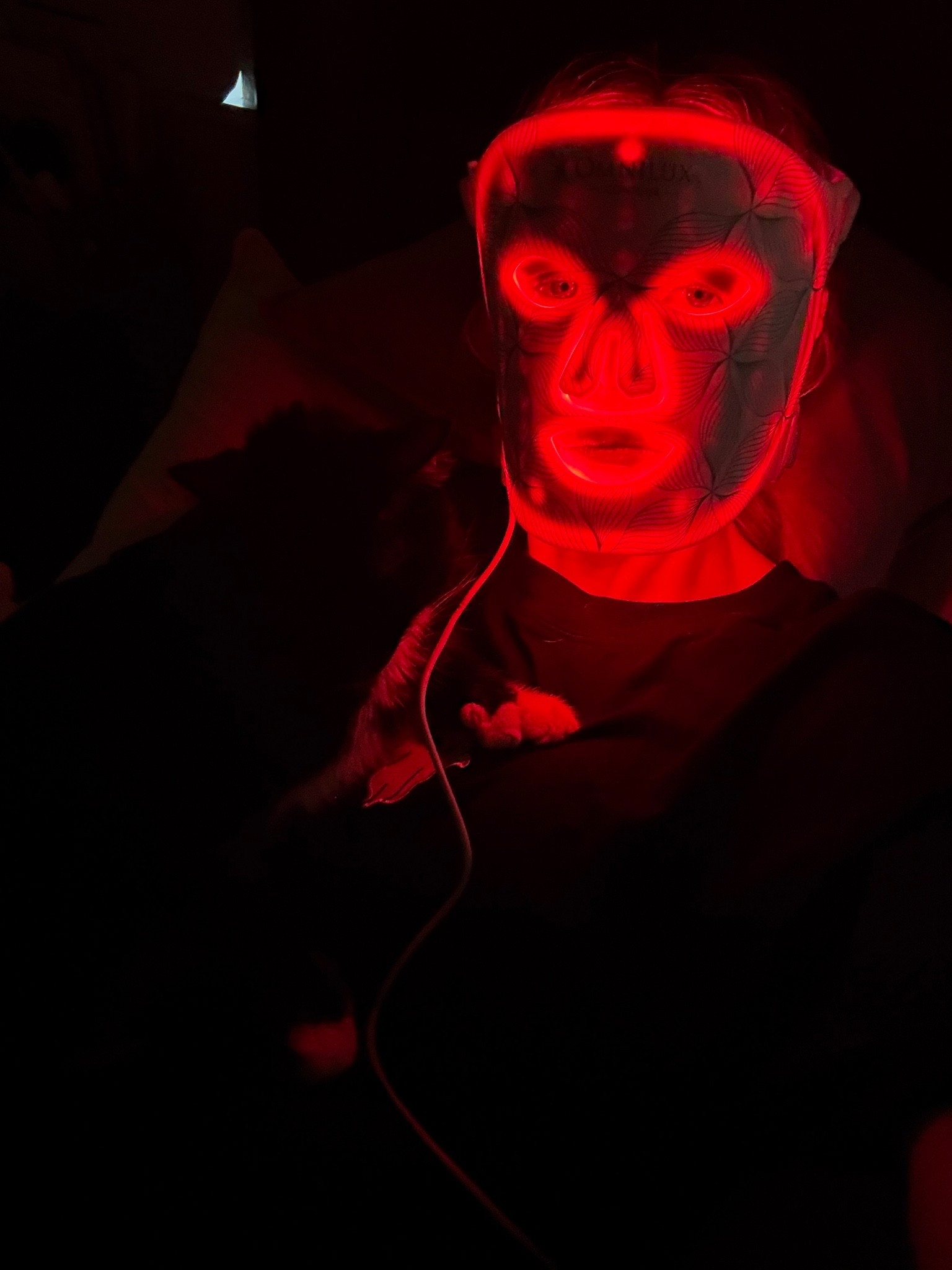 It’s been a week! Still use my @Omnilux LED mask 4-5 nights a week though!
My cat, Ernie approves