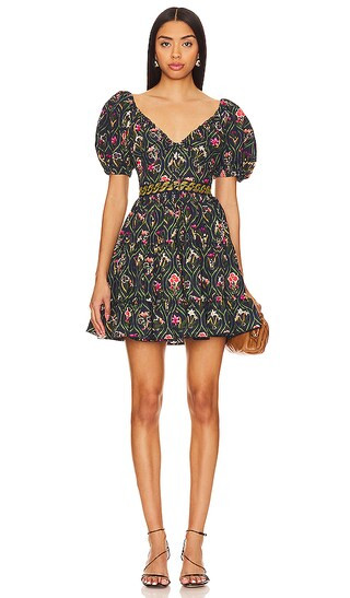 Manzanilla Pacifico Dress in Multicolor | Revolve Clothing (Global)