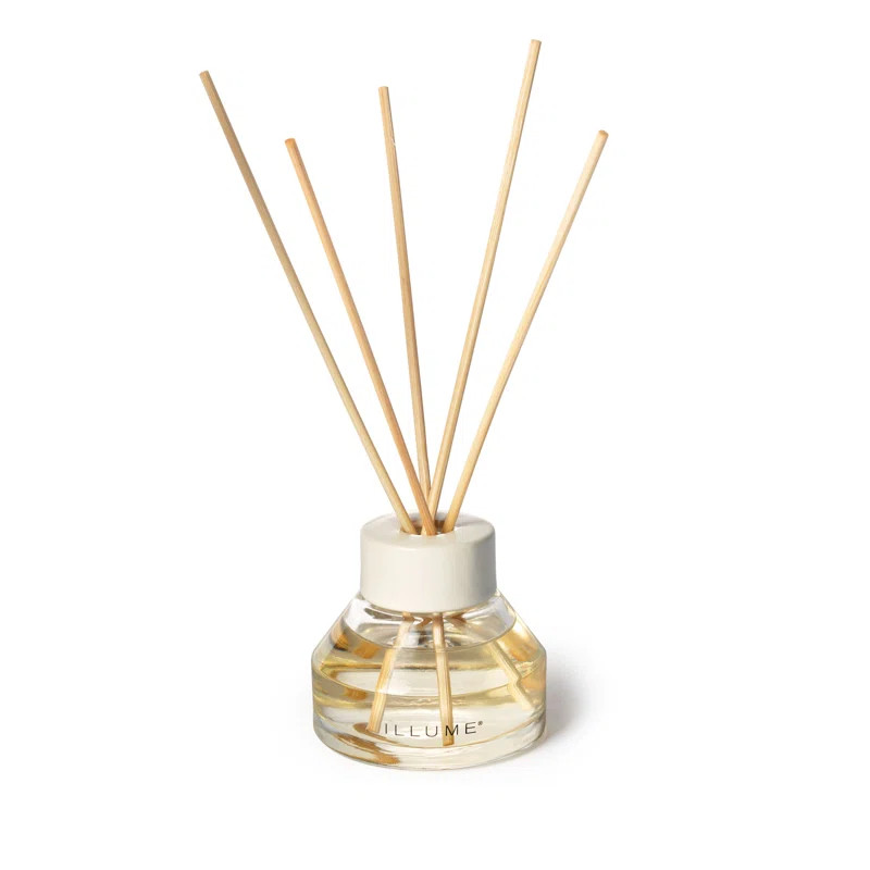 ILLUME Beautifully Done Essentials Blackberry Absinthe Aromatic Diffuser | Wayfair North America