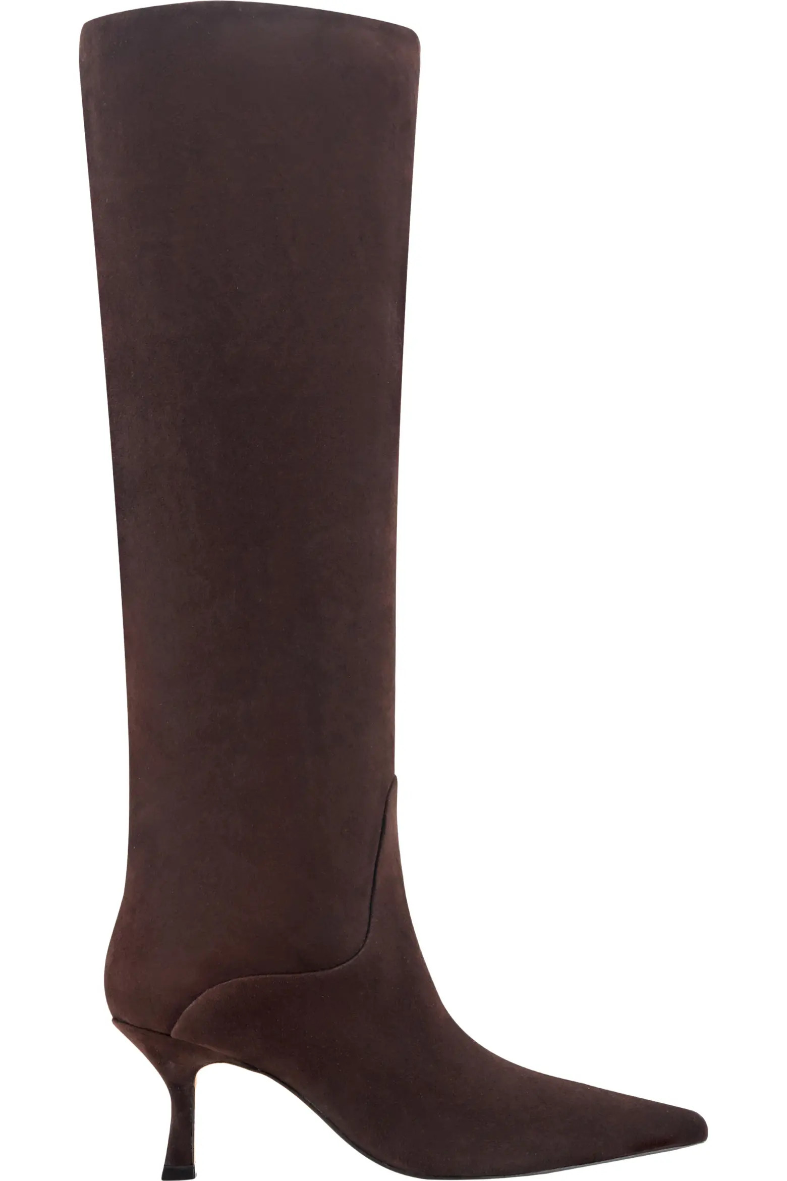 Visola Pointed Toe Knee High Boot (Women) | Nordstrom | Nordstrom