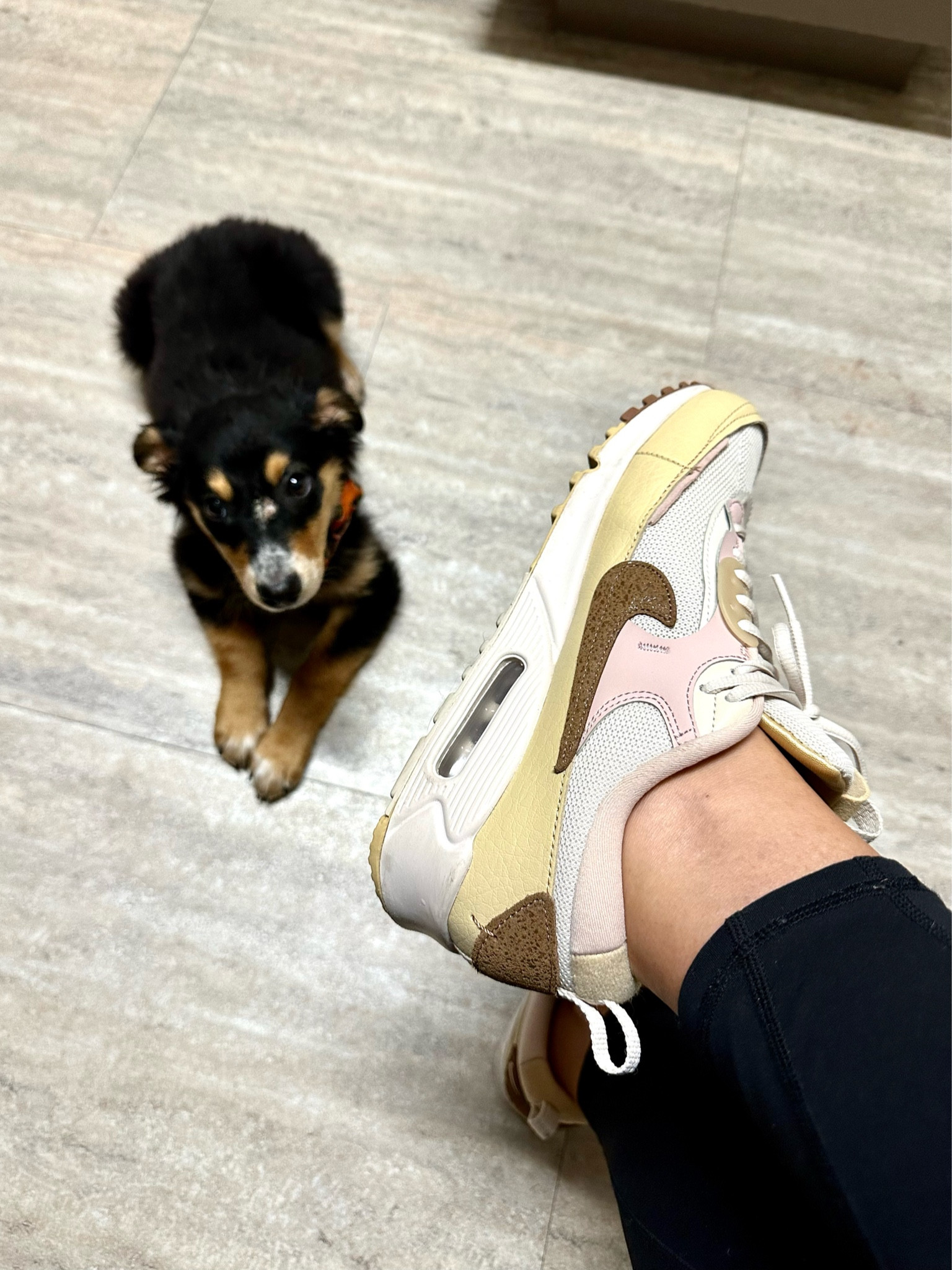 Move my Nikes Futura Air Maxx! Sized up half a size to an 8.5. They’re comfy to walk and workout in and a great gift idea for teens because this style is trending! 

#LTKGiftGuide #LTKshoecrush