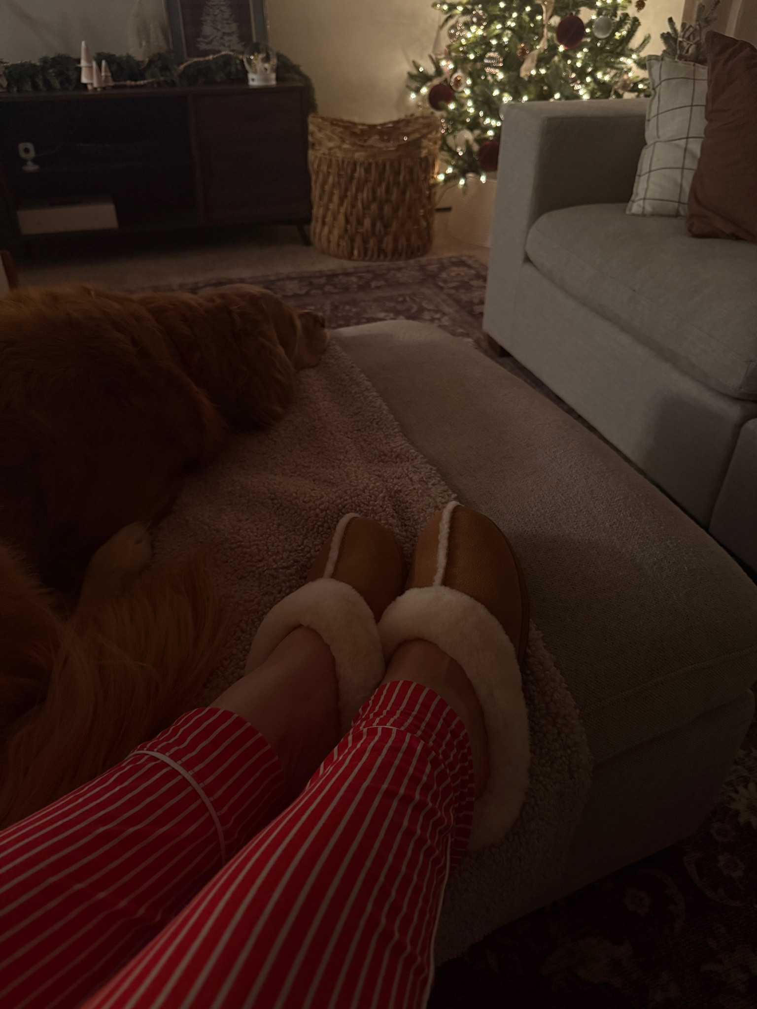 Cozy new winter slippers 🧸

#gifted #ad

#LTKHoliday #LTKGiftGuide #LTKHome