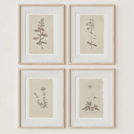 Set of 4 Botanical Prints in French Gray  Vintage Farmhouse - Etsy | Etsy (US)