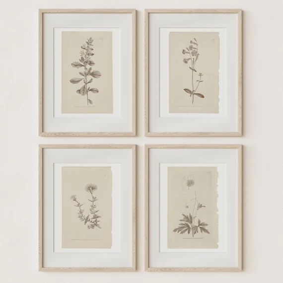 Set of 4 Botanical Prints in French Gray | Vintage Farmhouse Wall Decor | DIGITAL Prints Instant ... | Etsy (US)