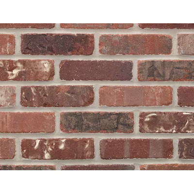 General Shale  50-Pack Stillwater 1/2-in x 8-in Tumbled Brick Wall Tile | Lowe's