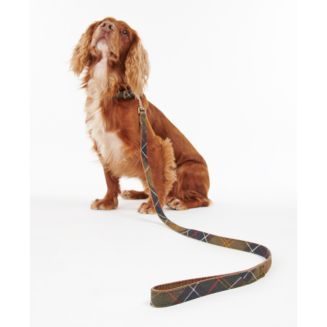 Tartan Webbing Dog Collar & Leash Collection | Bloomingdale's (US)