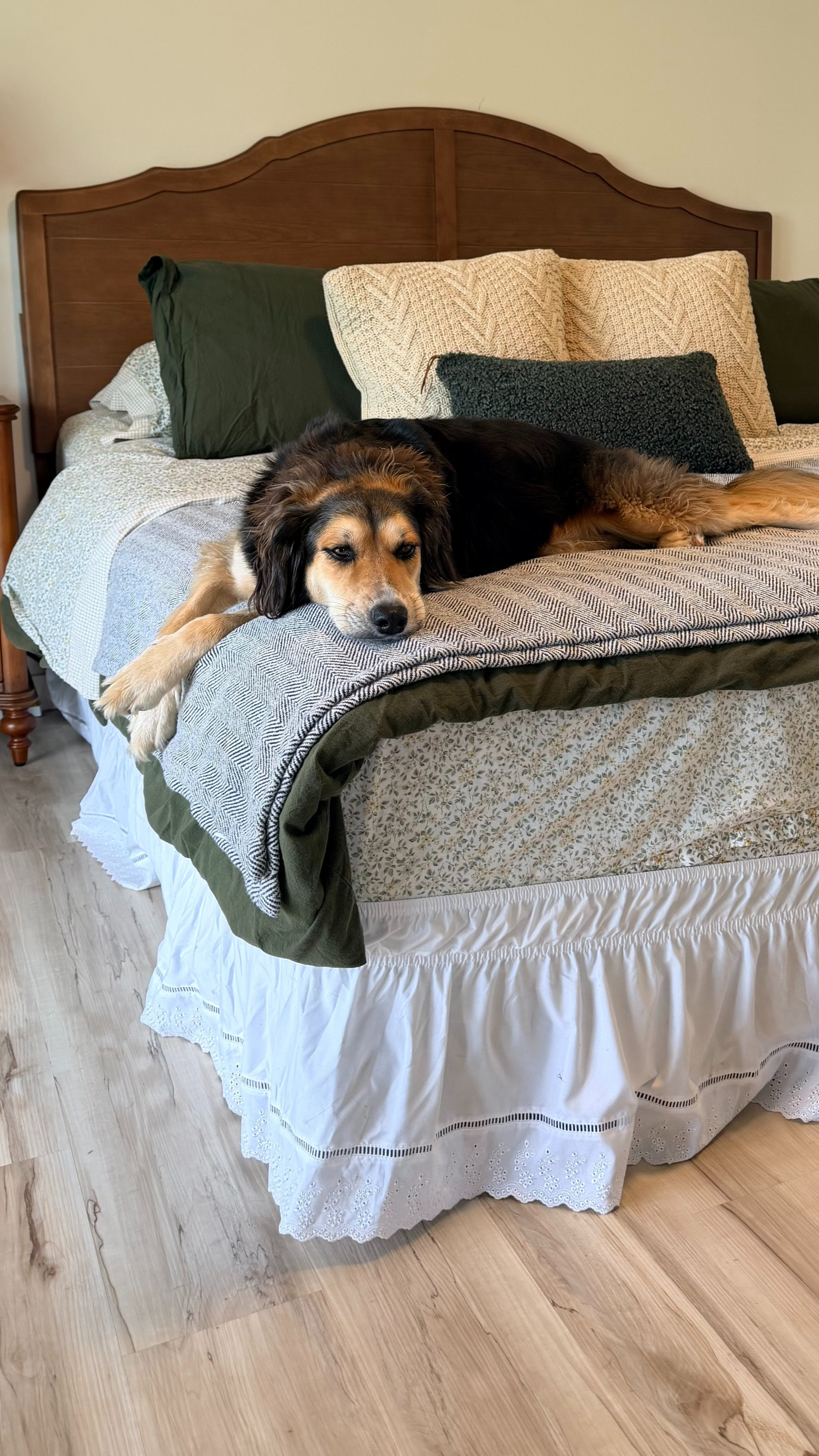 My bedroom got the cutest helper for today's post and she was not moving for anything! Sharing some of my favorite bedroom finds including two incredible Way Days deals you do not want to miss. This beautiful green floral Laura Ashley sheet set is 61% off and this stunning scalloped wood headboard is 20% off right now. Plus the prettiest ruffled lace bed skirt from Amazon that pulls the whole look together. These are the kinds of pieces that make your bedroom feel so cozy and beautiful without breaking the budget. Linking everything below! @Wayfair 

 

#LTKSaleAlert #LTKHome