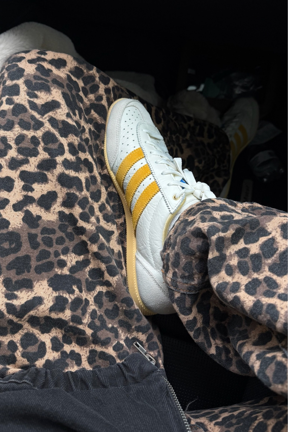 Weekend outfit ✨ leopard pants are under $100! And loving these new adidas Japan shoes 

Adidas, leopard pants, casual outfit, date night outfit, girls night outfit, winter outfit, Christine Andrew 

#LTKShoeCrush #LTKStyleTip #LTKFindsUnder100