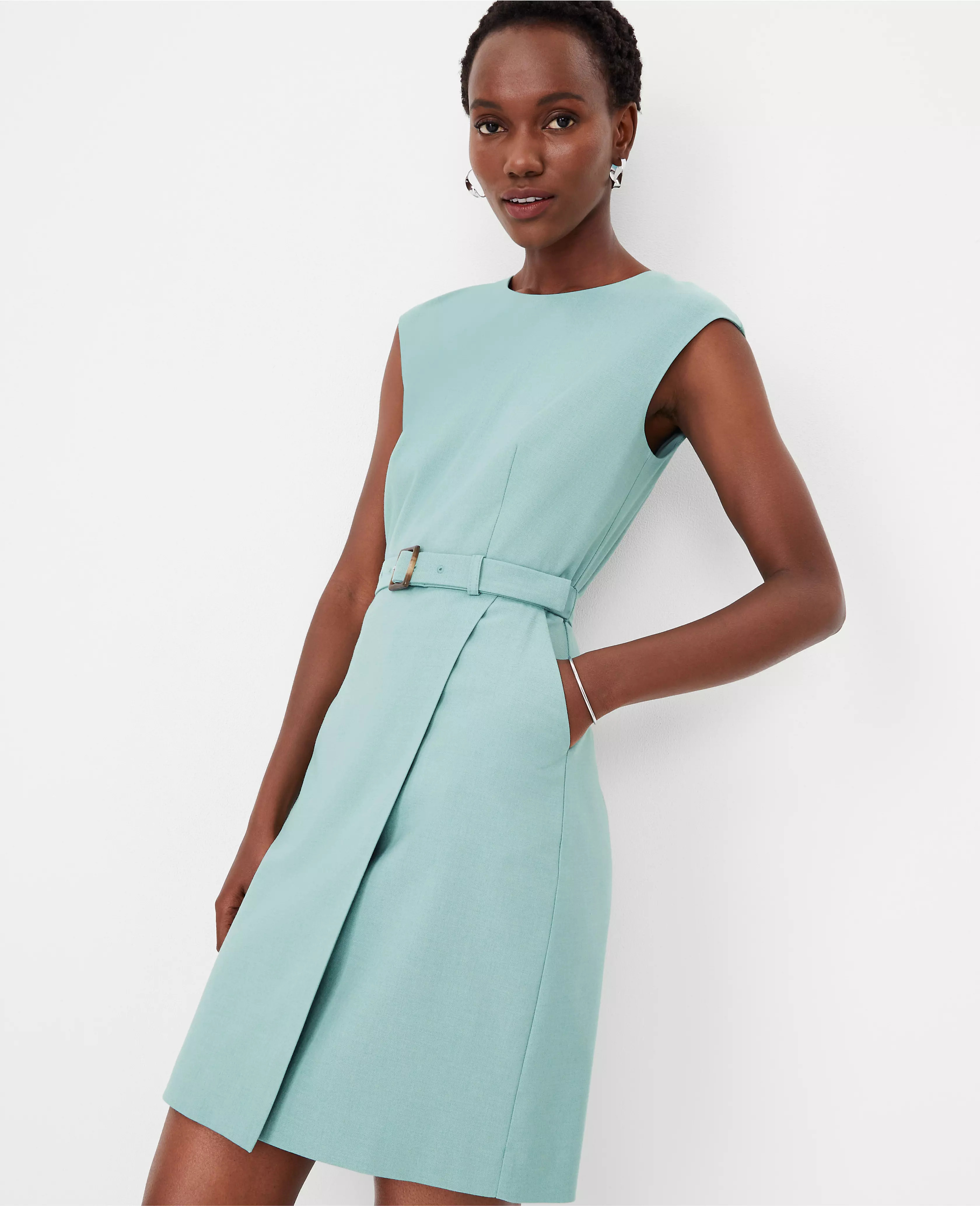 Belted Flare Dress | Ann Taylor (US)