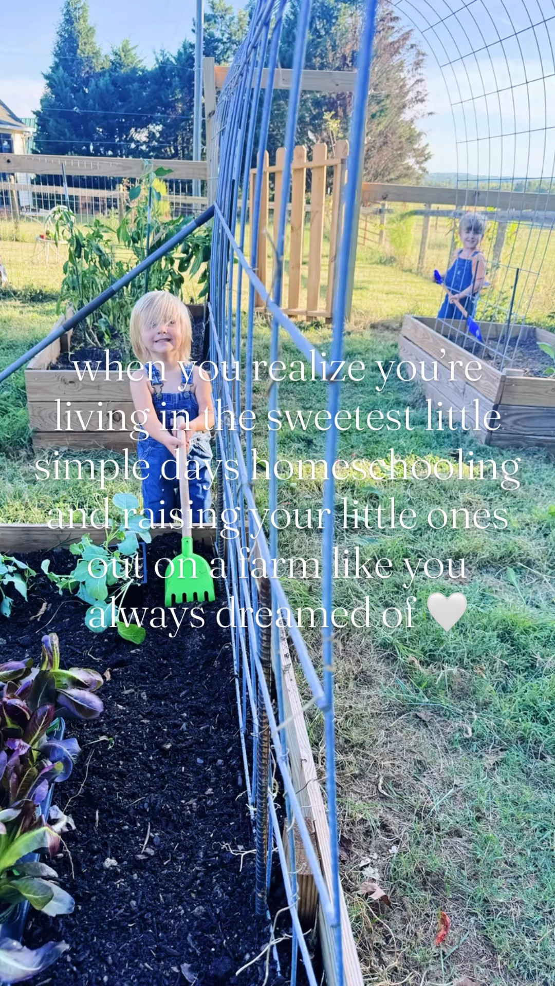 the days I always dreamed of 🌳🌾🧺🤠🏡🍂📚🎨✏️🚲🍁🌲 #dayslikethis #sahm #homeschoolmama #buildthelifeyoudreamof #sahmonafarm 

Nothing better than a cool and cozy “feels like fall” 🍁🍂 morning ☕️ out watering the garden 🪴, feeding the chickens 🐓, and picking farm fresh 🌾 berries 🩷 for breakfast 🍳 with my firstborn cutie pie!! 🥰 

Just got in some last few little phonics activities that we are excited to use this year for homeschool 🍎 (yes, I linked 🔗 them all over on my LTKit shop!! 🫶🏽) we used for a sweet and cozy lil’ kitchen table 🪑 homeschool preschool morning with these cuties!! 📚🌞

And then outside 🌳 all day until naptime 💤 - with chalk time 🎨, a bike 🚲 and little blue car 🚙 walk down to the pond 🌾, and playing in their “forest” playhouse behind the barn!! 🌲 What a dreamy childhood 💫 they have here… I’ll never get over it! 🫶🏽